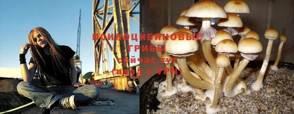 спайс Армянск