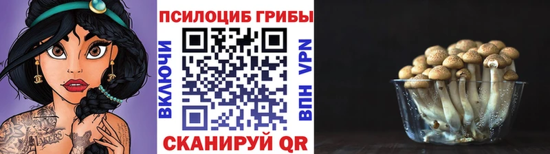 blacksprut Борзя Псилоцибиновые грибы GOLDEN TEACHER даркнет сайт